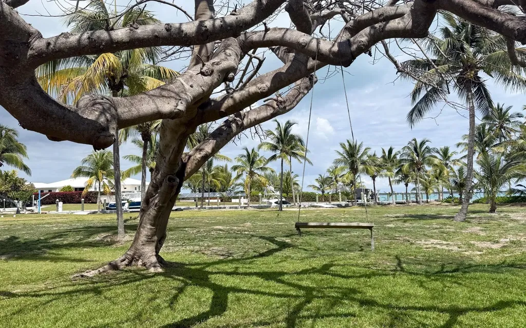Lot A, Coconut Point New Providence Paradise Island BS