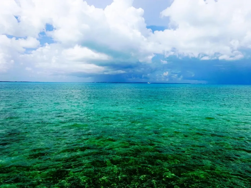 Aurora 48, Eastern Road New Providence Paradise Island BS