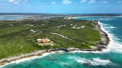 2d Yellow Wood Cherokee Abaco BS