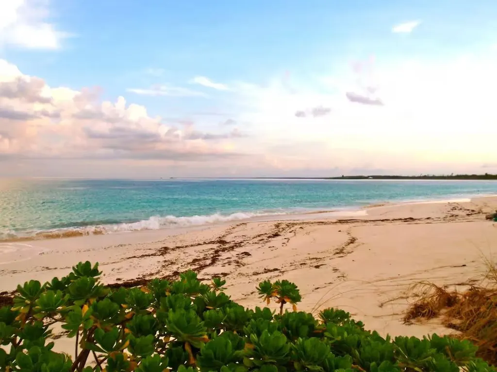 Bahama Palm Shores Abaco BS