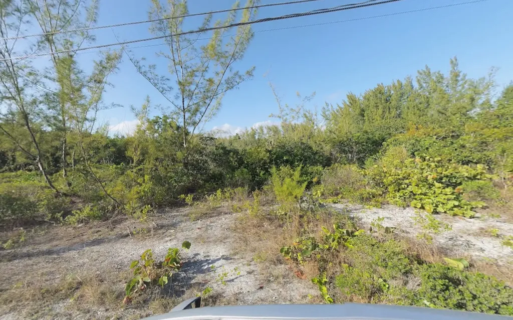 Bahama Palm Shores Abaco BS