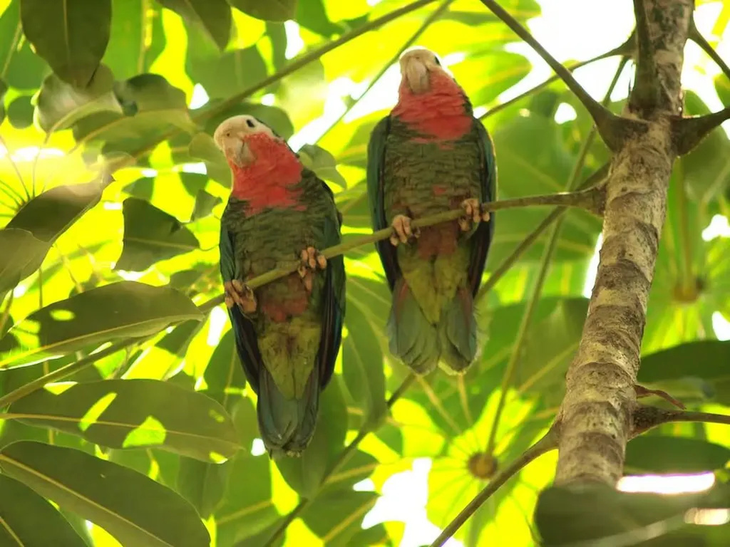 Bahama Palm Shores Abaco BS