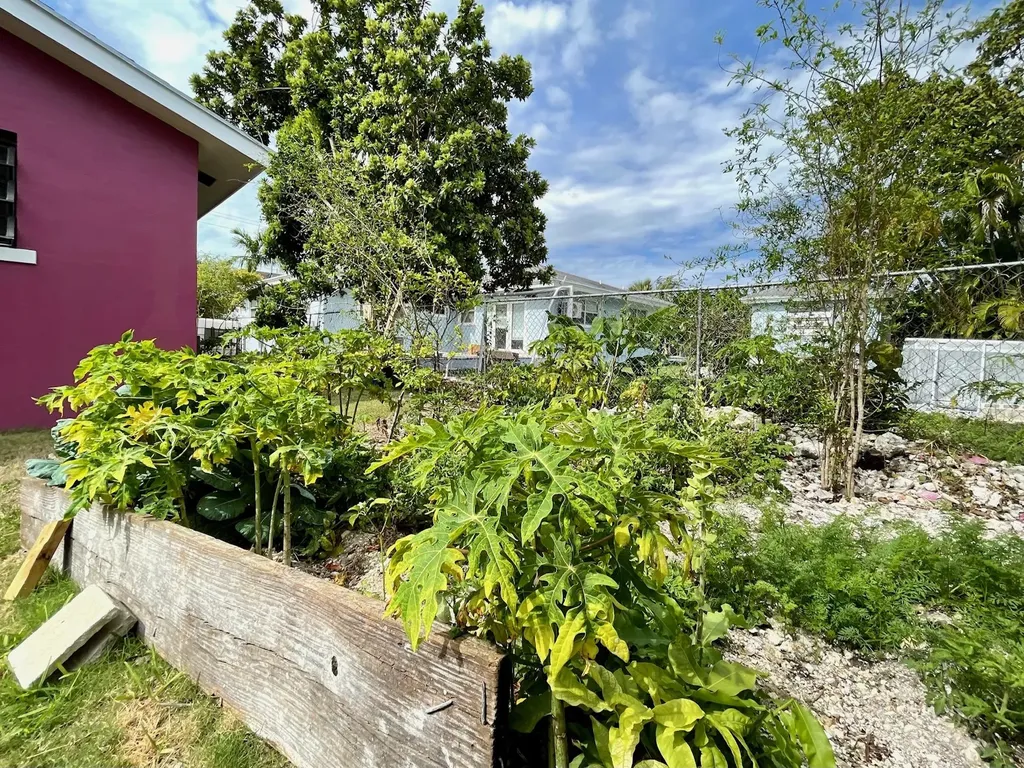 Blenheim Road, Stapledon 29 New Providence Paradise Island BS