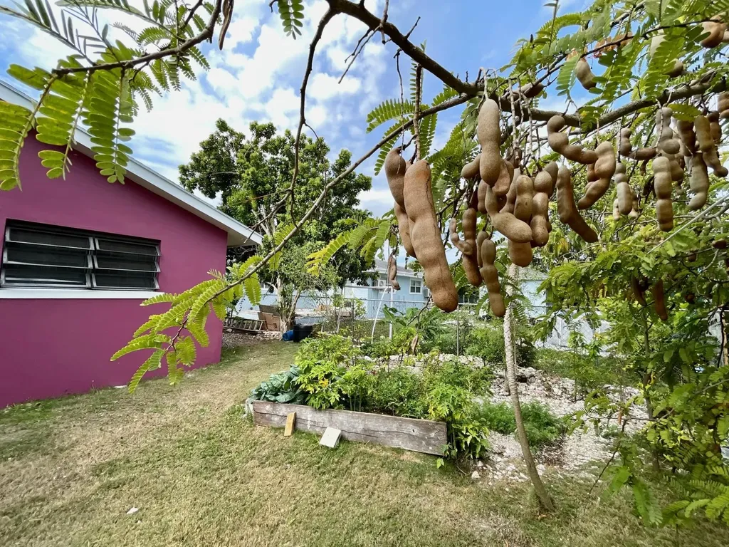 Blenheim Road, Stapledon 29 New Providence Paradise Island BS