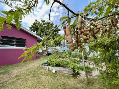 Blenheim Road, Stapledon 29 New Providence Paradise Island BS