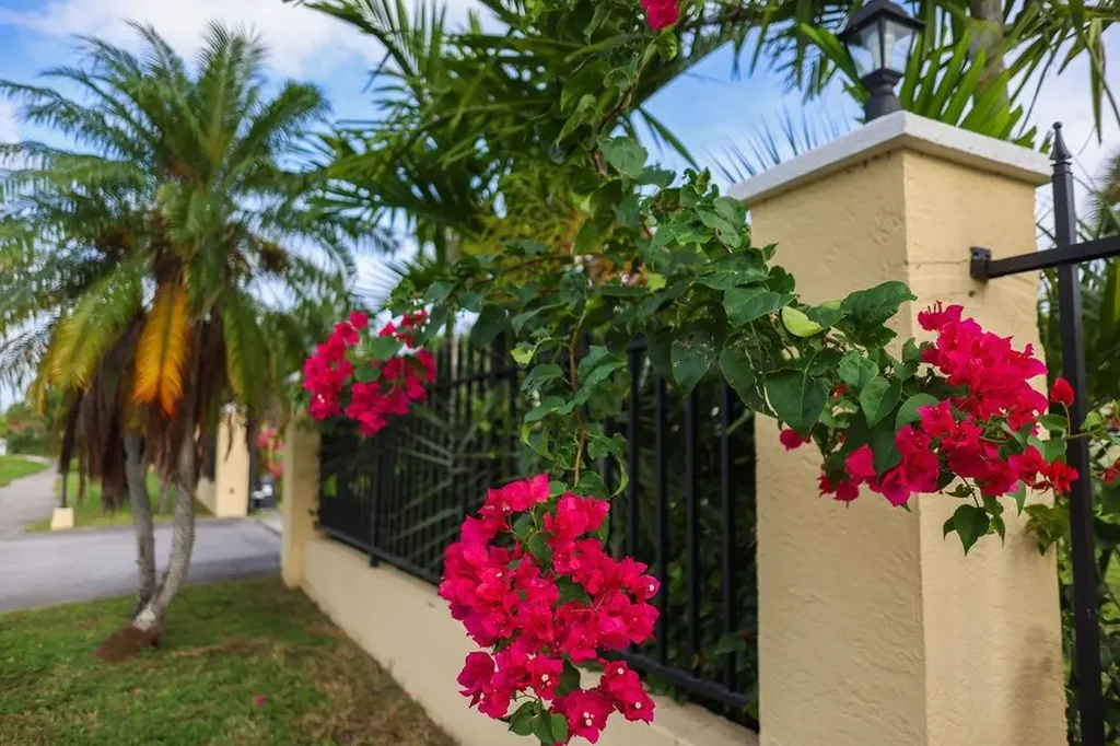 Midshipman Road 13-14 Grand Bahama Freeport BS