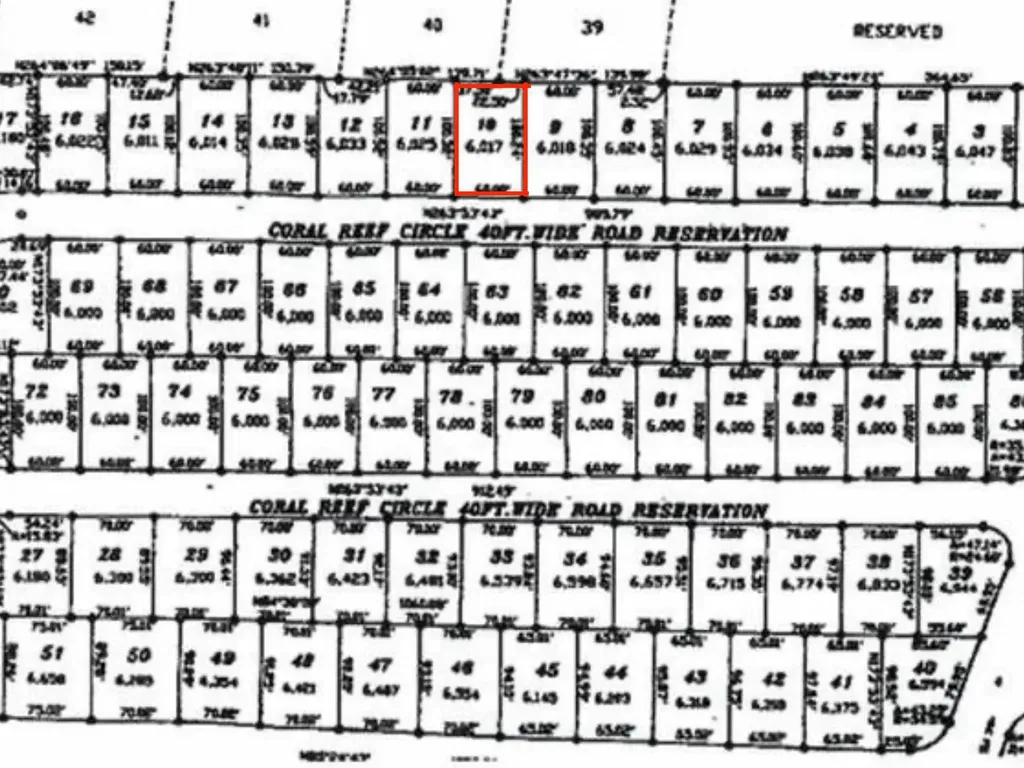 Coral Reef Circle New Providence Paradise Island BS