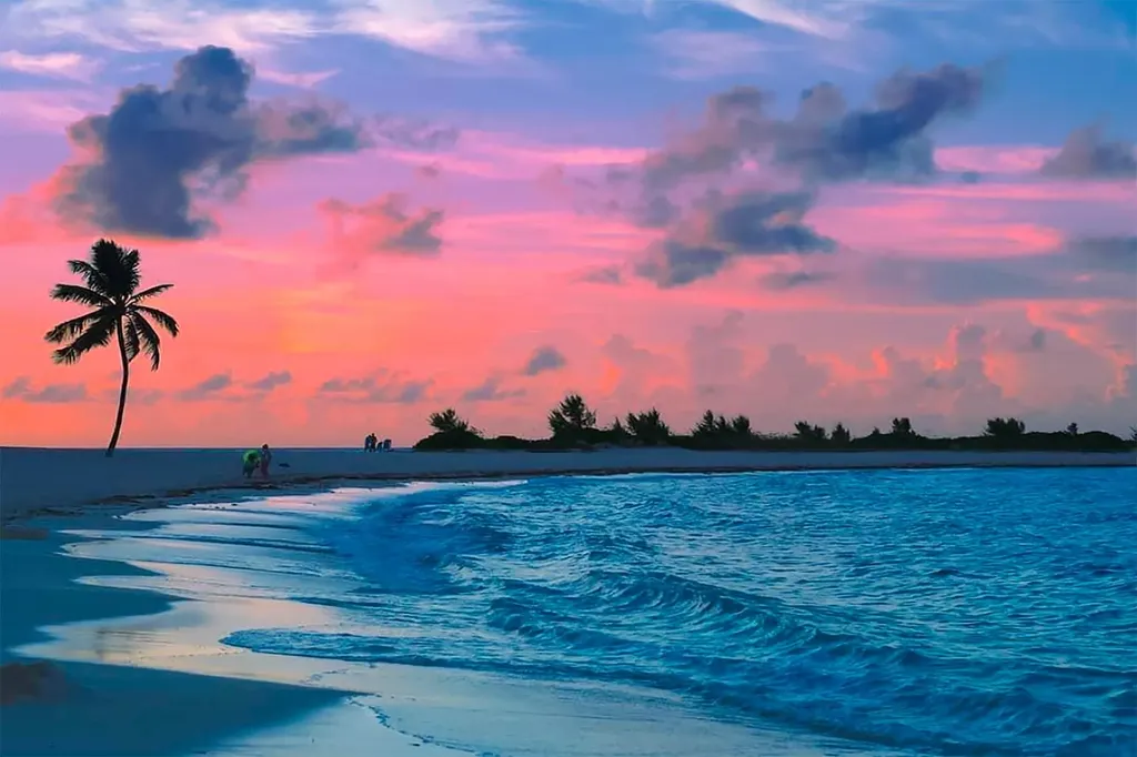 The Reef New Providence Paradise Island BS