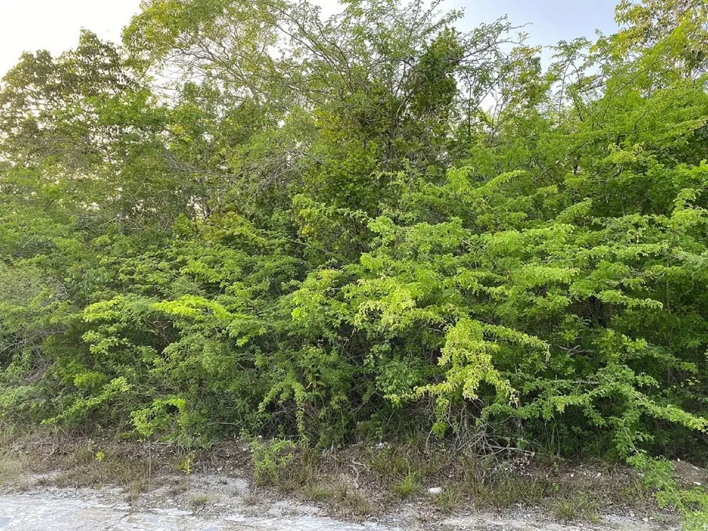 Lot 7693m Bahama Sound 11 Exuma BS