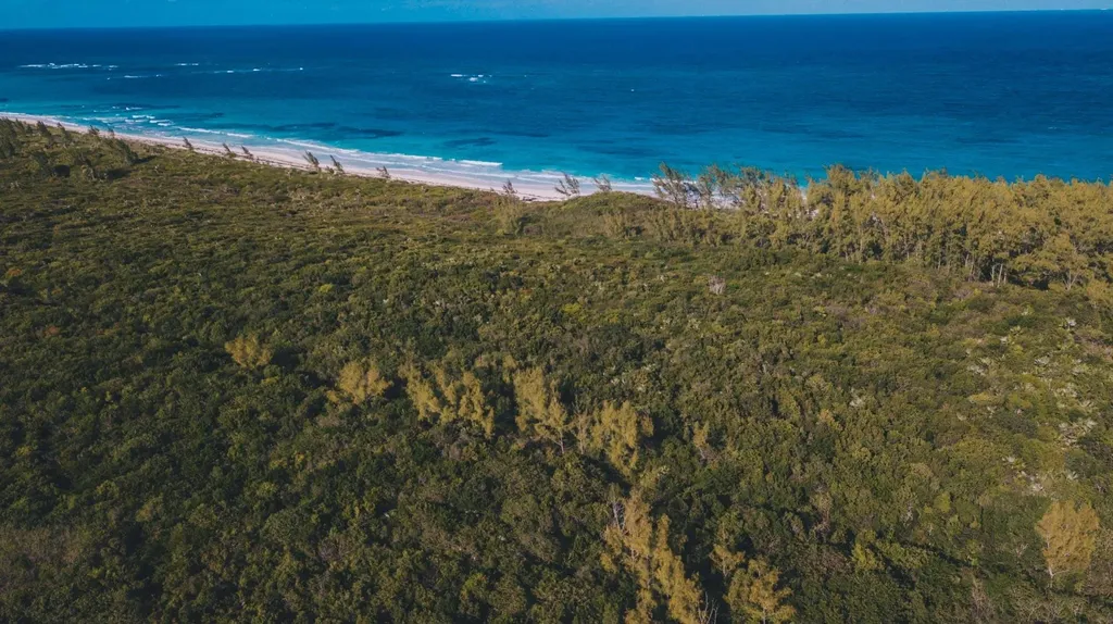 Queen's Highway Eleuthera BS