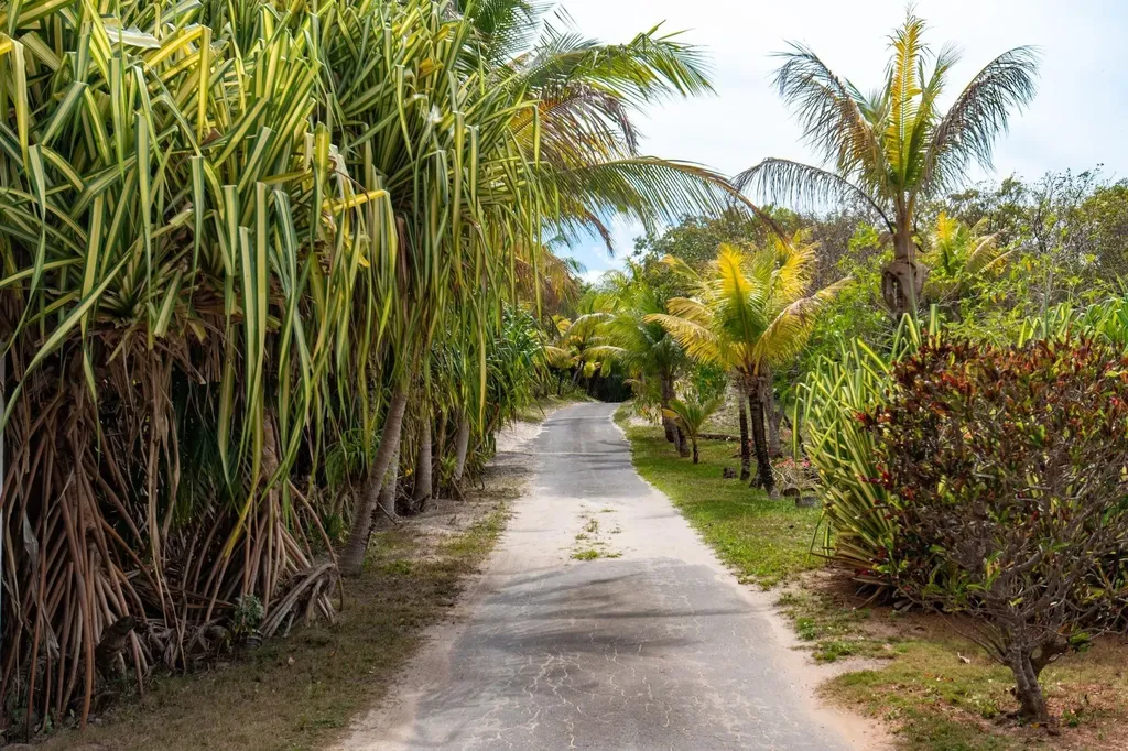Banks Road Tir Na Nog Eleuthera BS