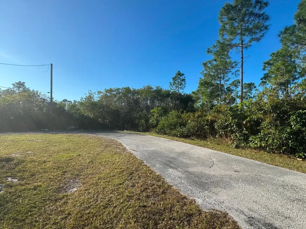 Lot 10, South Bahamia Grand Bahama Freeport BS