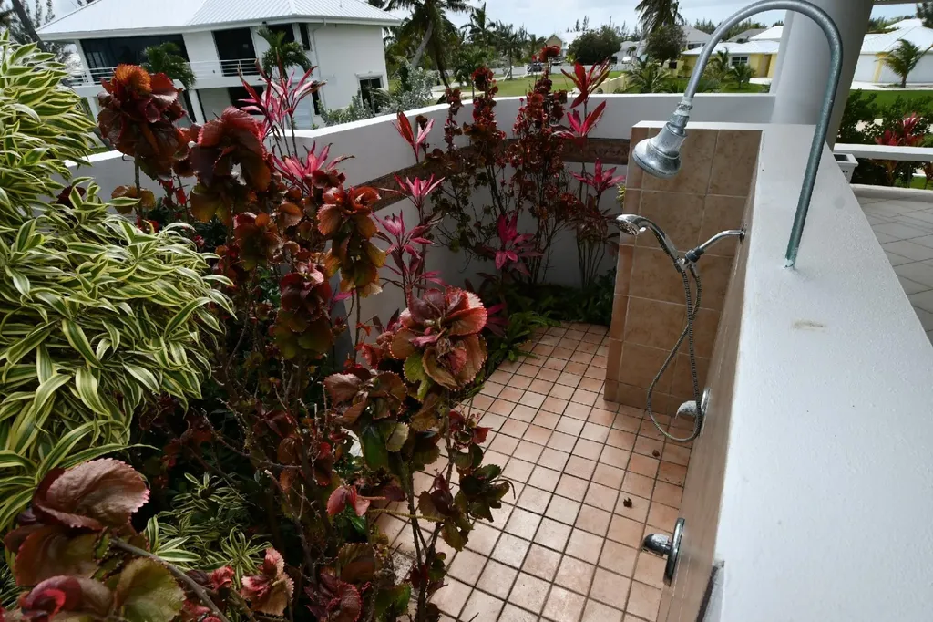 Summertime Ocean Boulevard Abaco BS