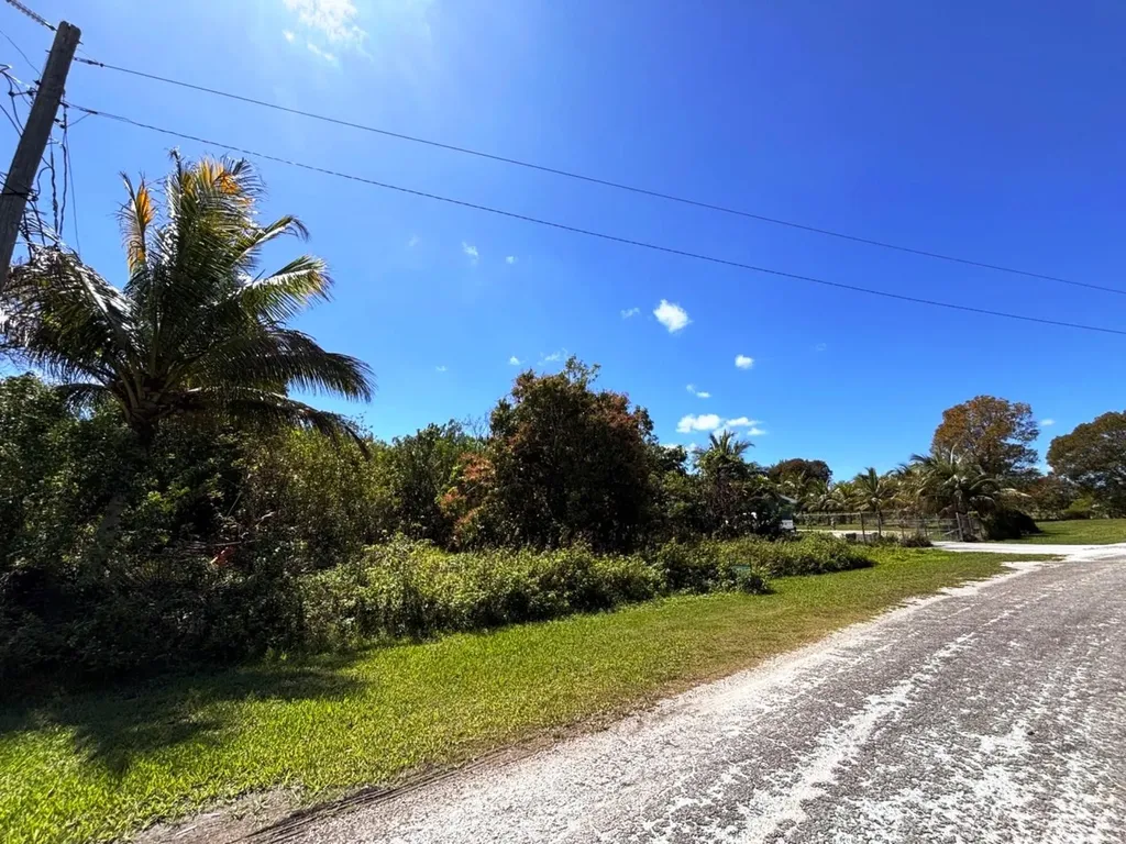Greening Glade Lot Grand Bahama Freeport BS