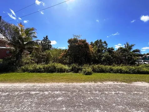 Greening Glade Lot Grand Bahama Freeport BS