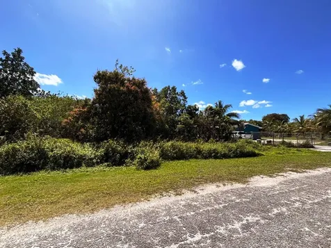 Greening Glade Lot Grand Bahama Freeport BS