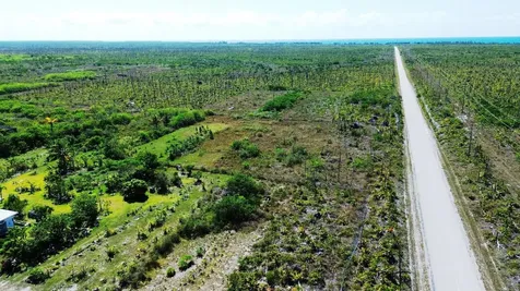 Greening Glade Lot Grand Bahama Freeport BS