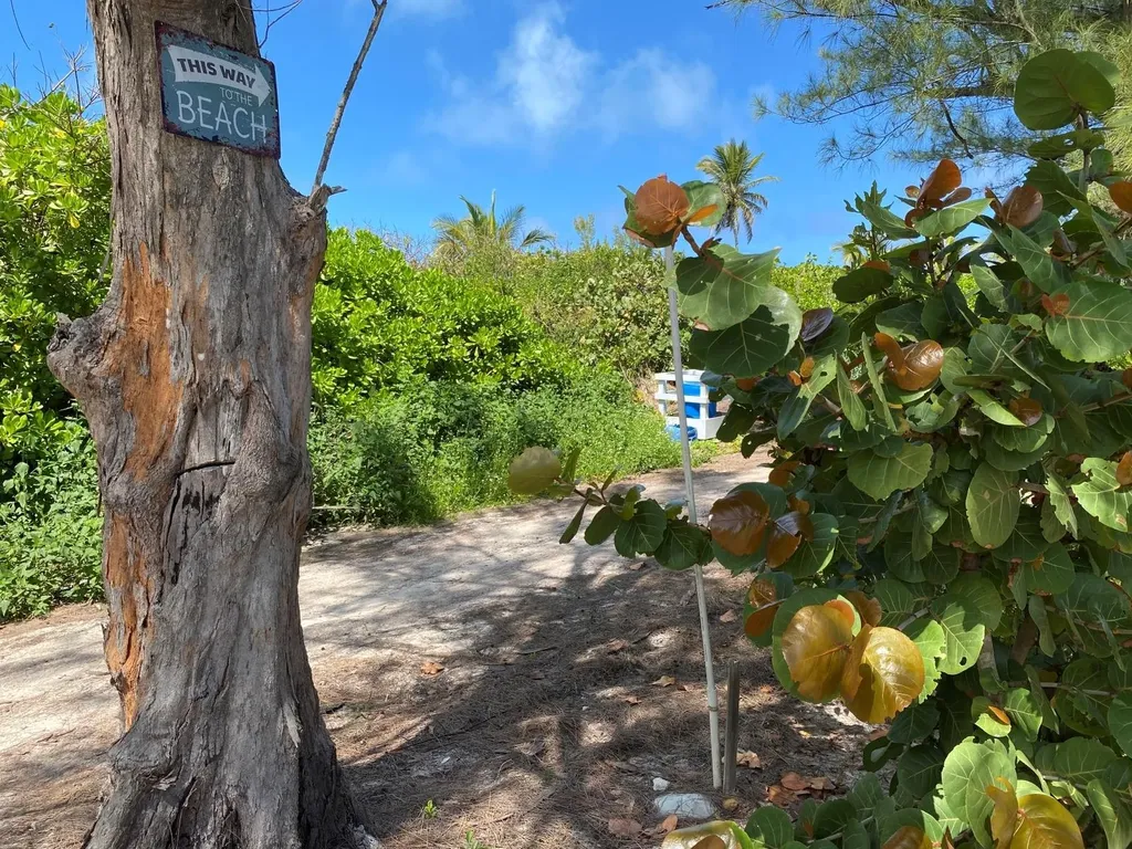Dolphin Beach Estates Abaco BS