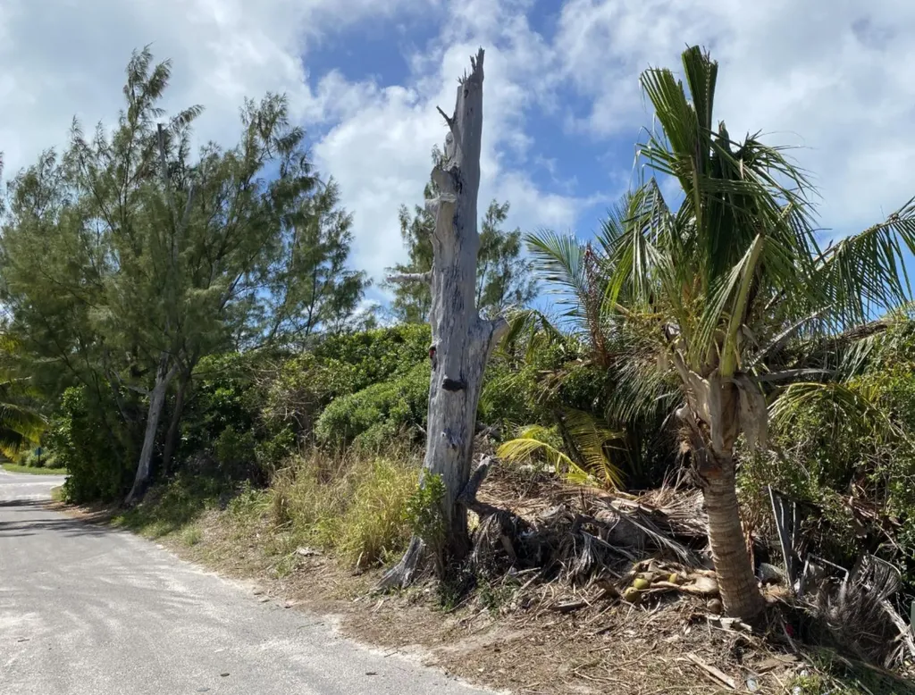 Dolphin Beach Estates Abaco BS
