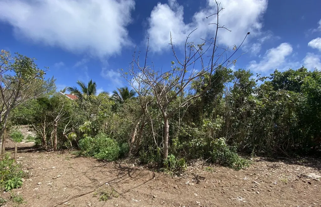 Dolphin Beach Estates Abaco BS