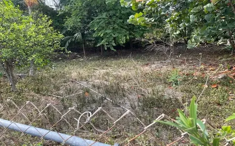 Orange Drive Home New Providence Paradise Island BS