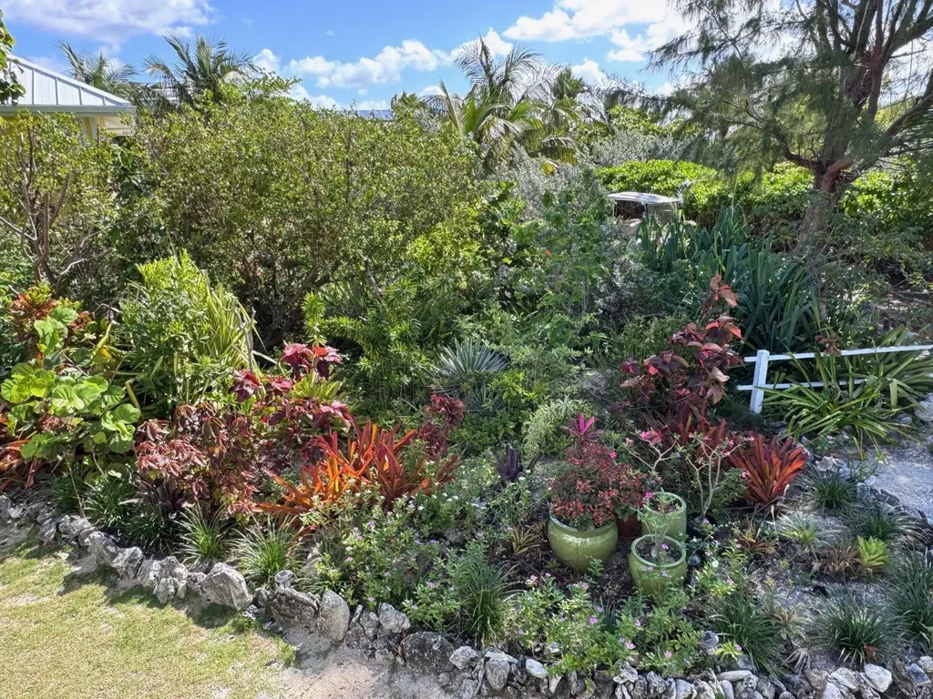Cloud Nine, North End Abaco BS