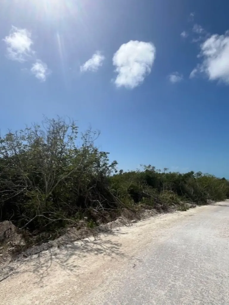 Scrub Hill Lot F Long Island BS