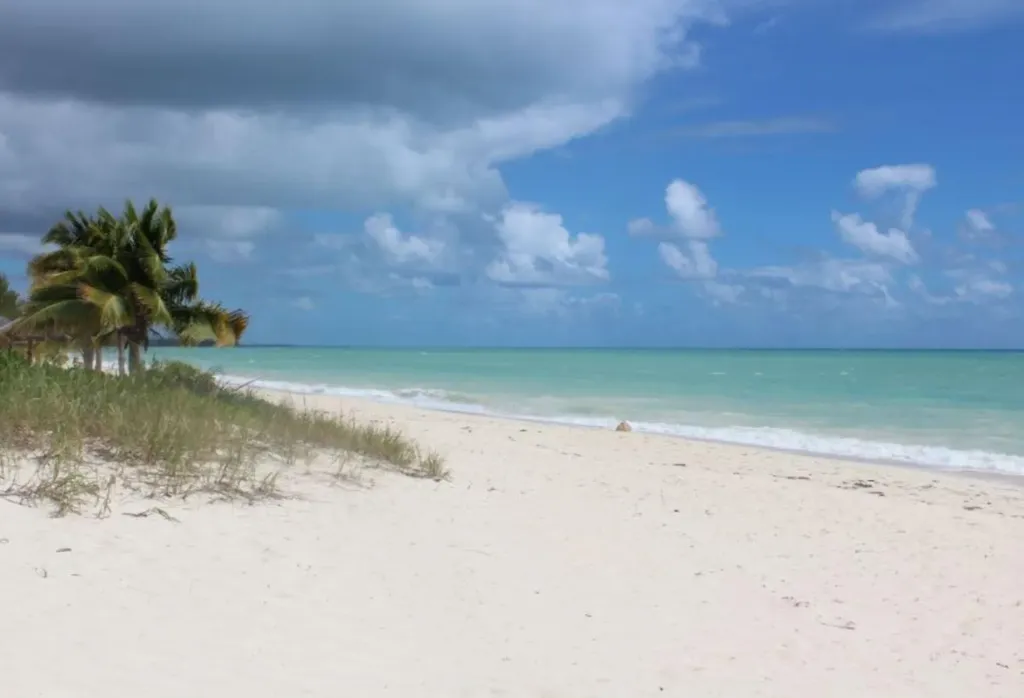 Riviera Towers Grand Bahama Freeport BS