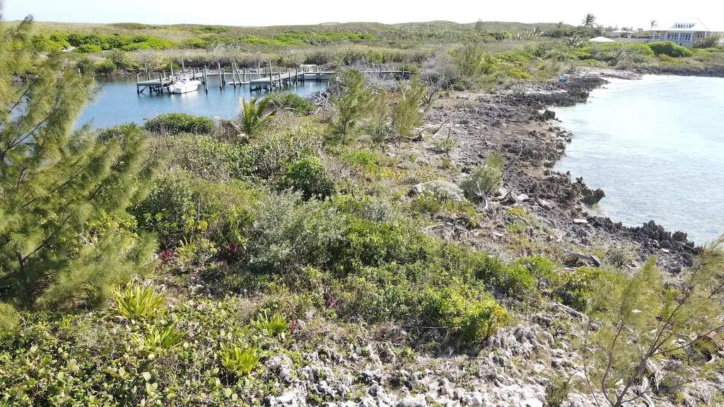 Lots 2 & 3, Tilloo Pond Abaco BS