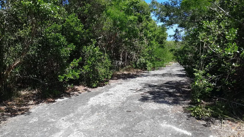 Bahama Sound 7e 5347 Exuma BS