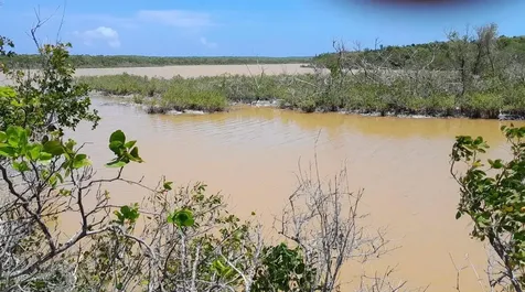 Bahama Sound 7e 5347 Exuma BS