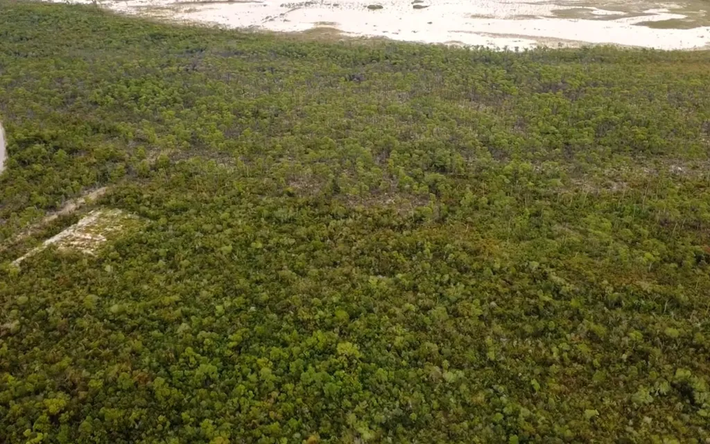 Staniard Cay, 4.685 Acres Andros BS