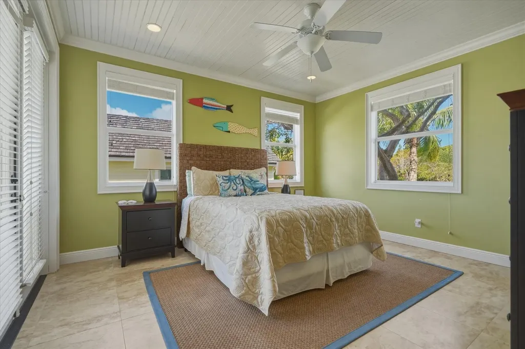 Crown Pigeon Island & Cay Eleuthera BS