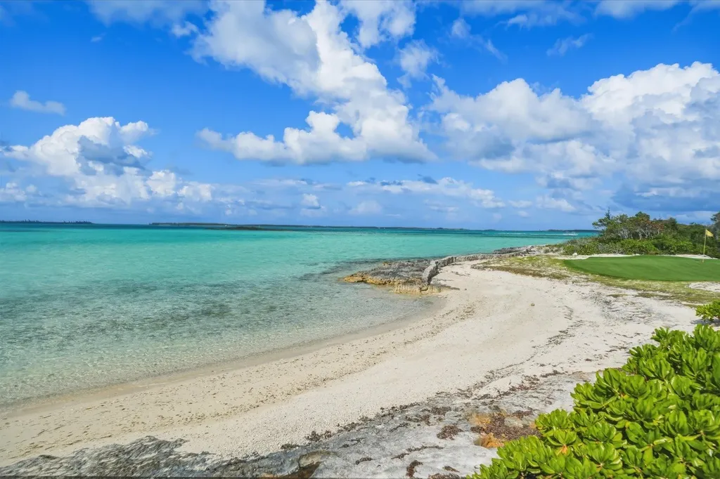Crown Pigeon Island & Cay Eleuthera BS