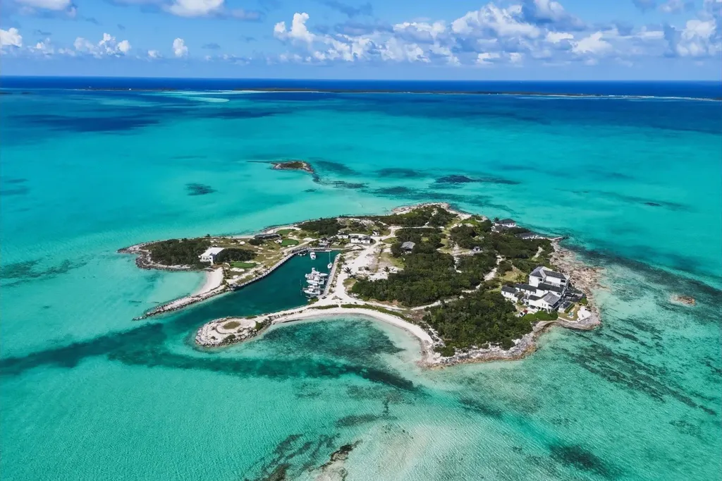 Crown Pigeon Island & Cay Eleuthera BS