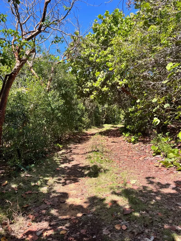 Lot 37 Whale Point Eleuthera BS