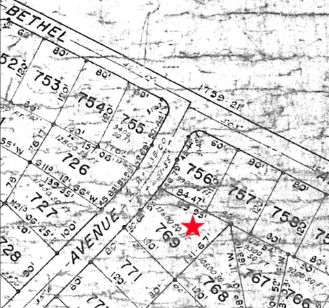 Stepledon Gardens New Providence Paradise Island BS
