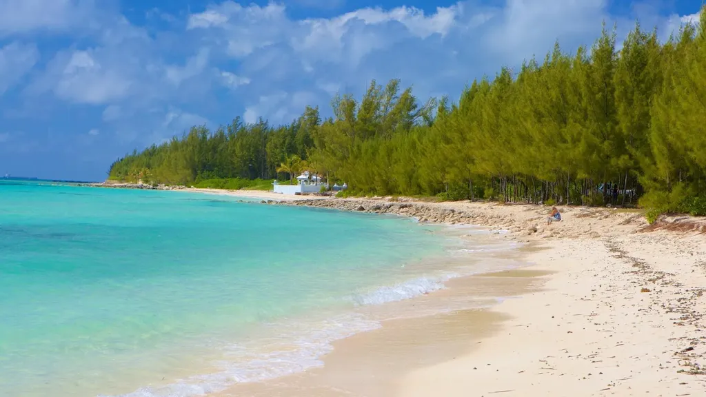 Cadwallader Jones Drive Grand Bahama Freeport BS