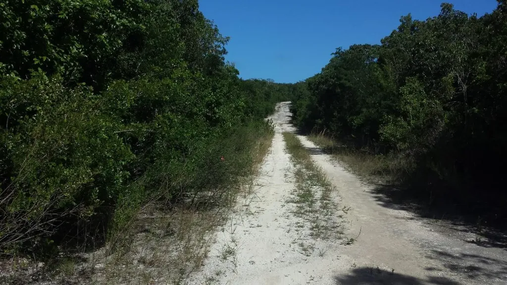 Queens Highway In Dumfrie Cat Island BS
