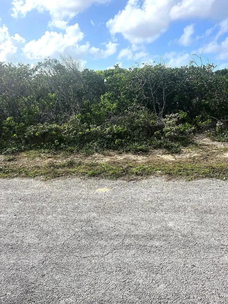 Buckley's Lot Long Island BS