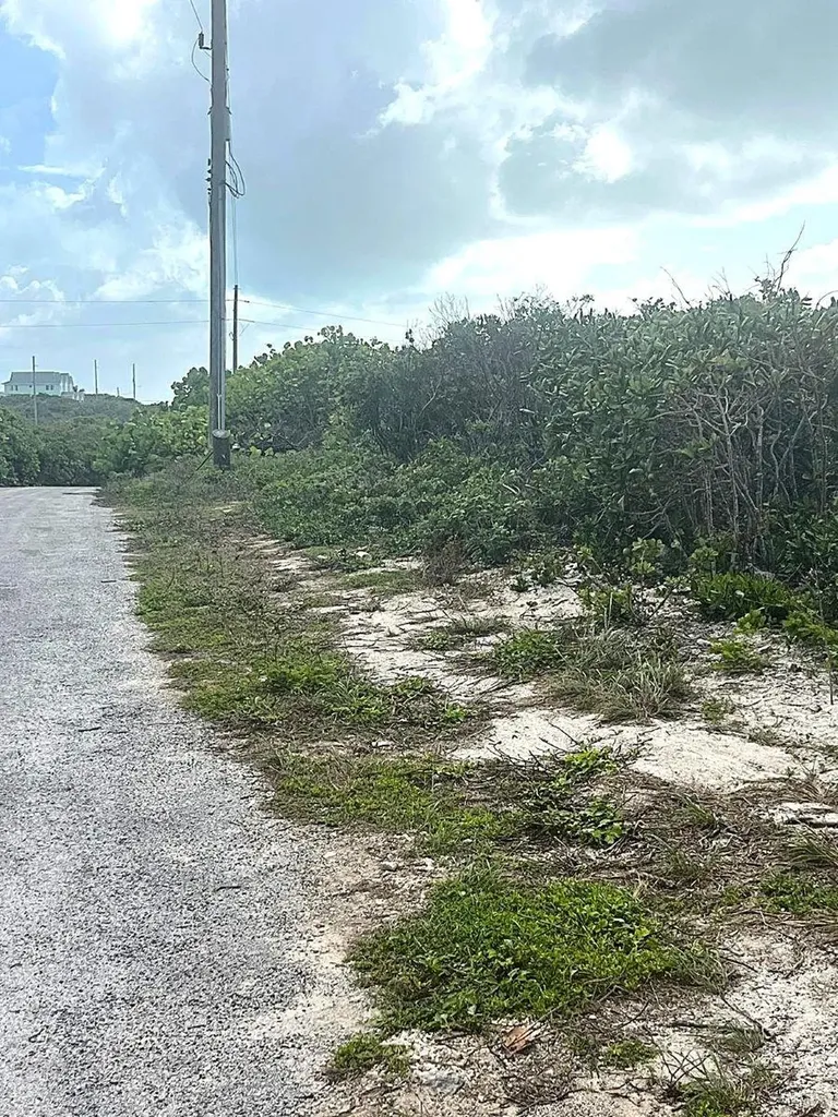 Buckley's Lot Long Island BS