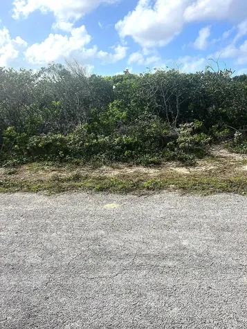 Buckley's Lot Long Island BS
