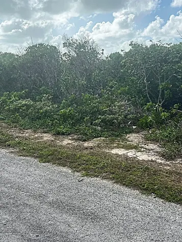 Buckley's Lot Long Island BS