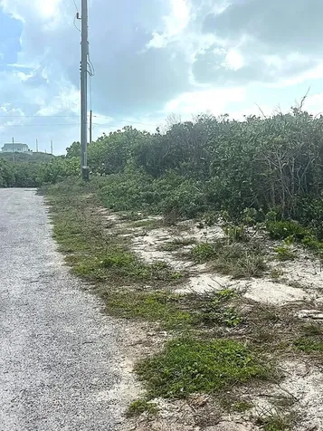 Buckley's Lot Long Island BS