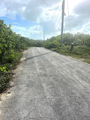 Buckley's Lot Long Island BS