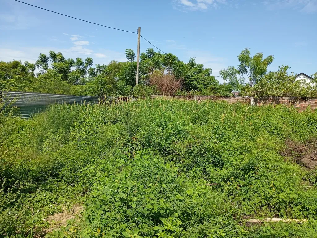 Ruby Crescent New Providence Paradise Island BS
