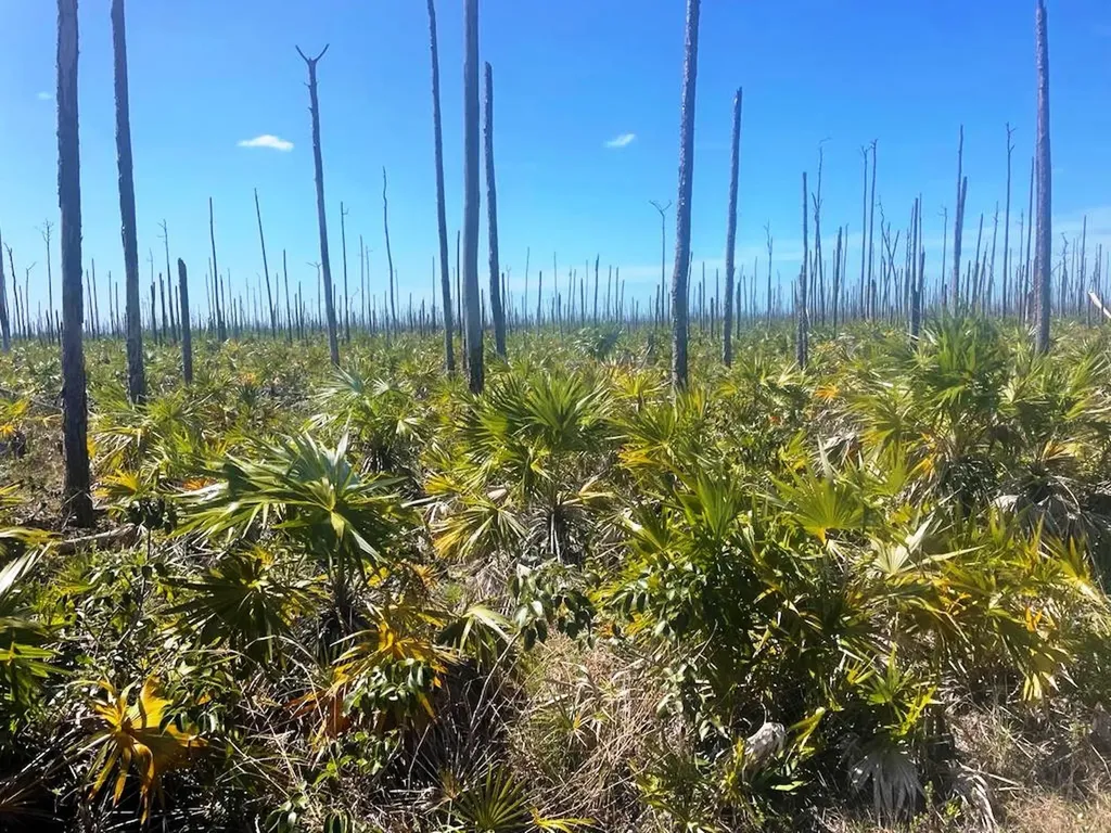 Lucaya Estates Lot Grand Bahama Freeport BS