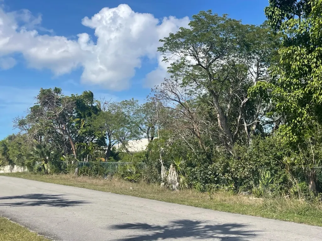 Santa Maria Avenue Grand Bahama Freeport BS