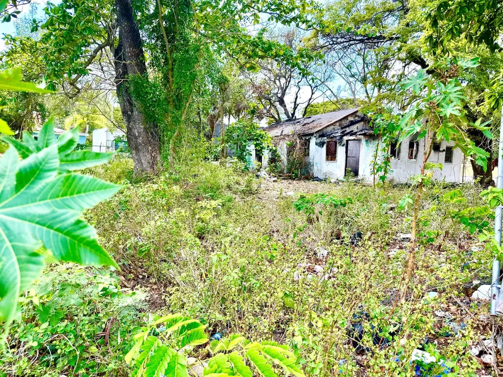 Oakes Field 14, 833 Sf Lot 15 New Providence Paradise Island BS