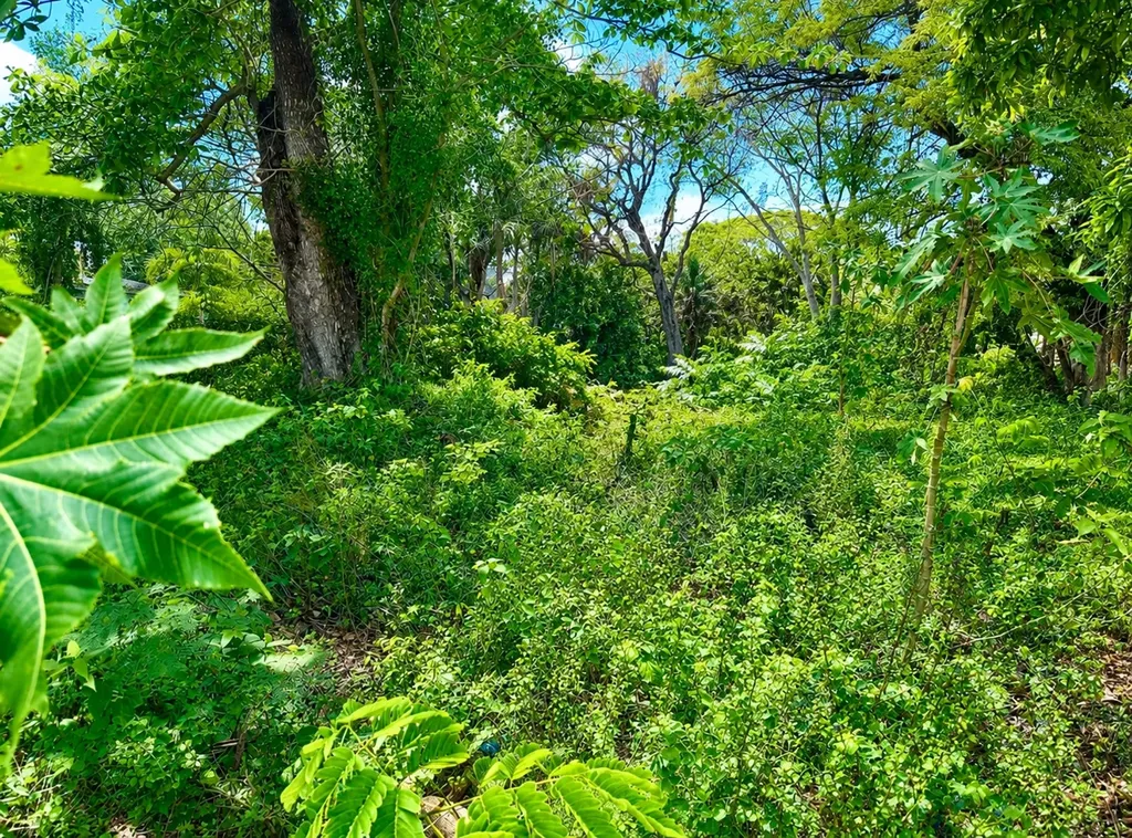 Oakes Field 13,814 Comlot New Providence Paradise Island BS